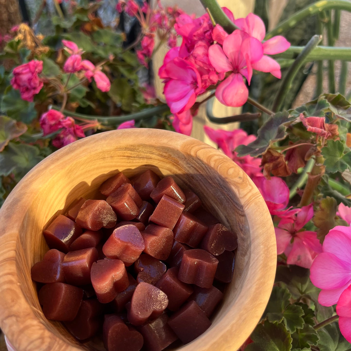 Elderberry sea moss gummies