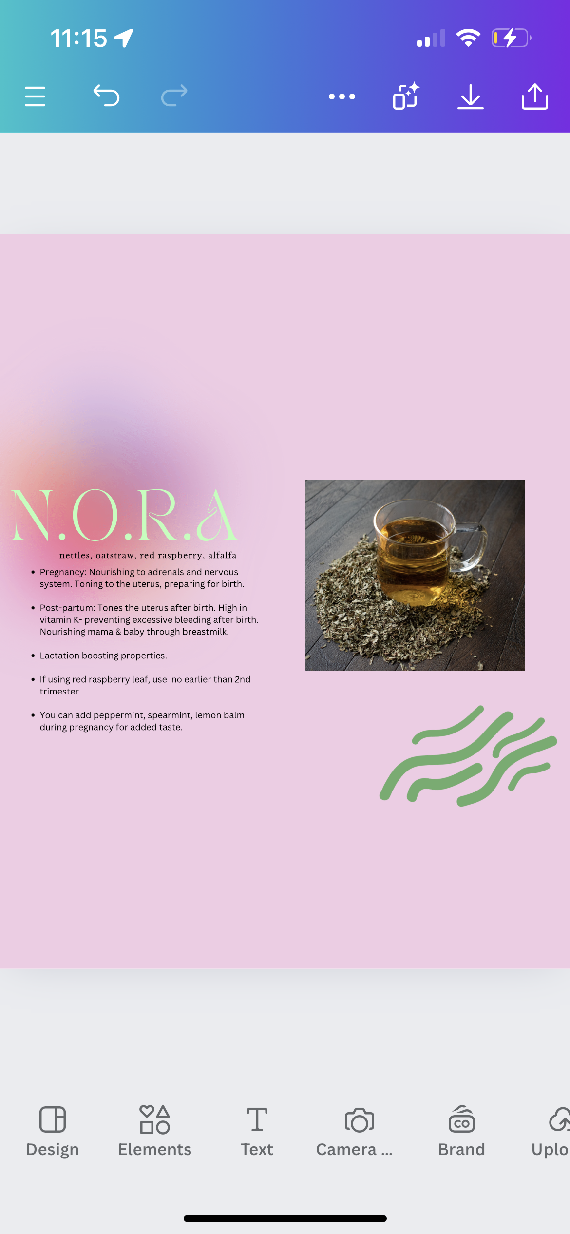 N.O.R.A pregnancy support tea