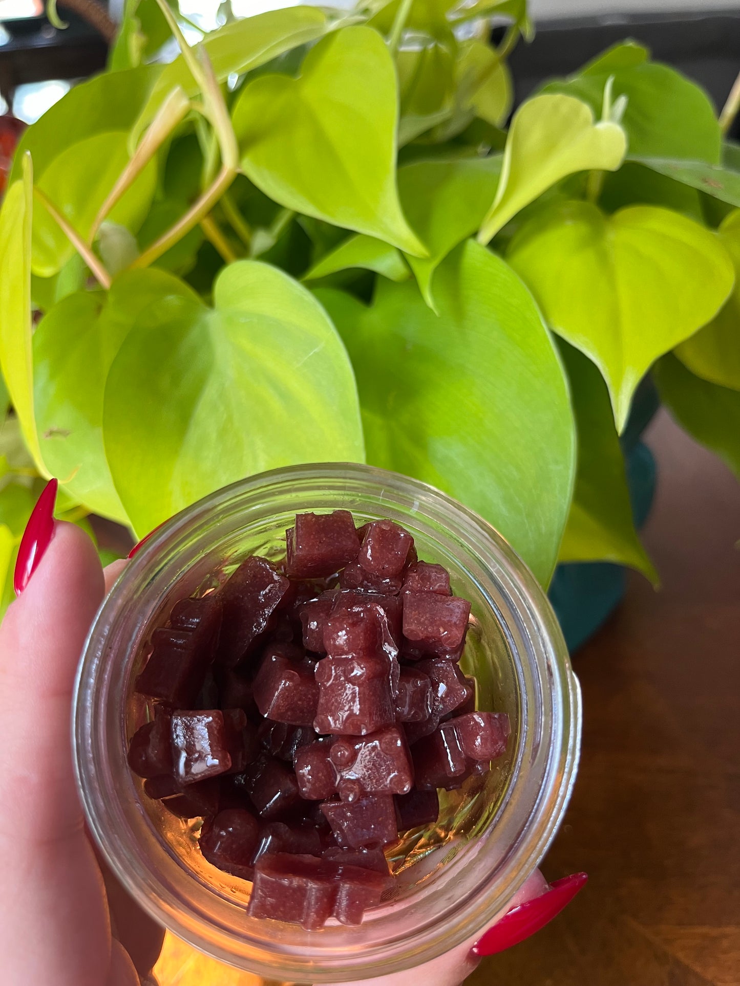 Elderberry sea moss gummies